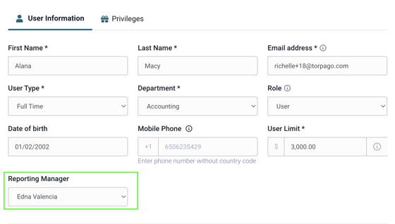 Torpago - Reporting Manager User Role